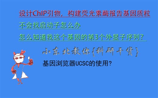 【科研干货】-如何利用UCSC找到基因启动子，外显子