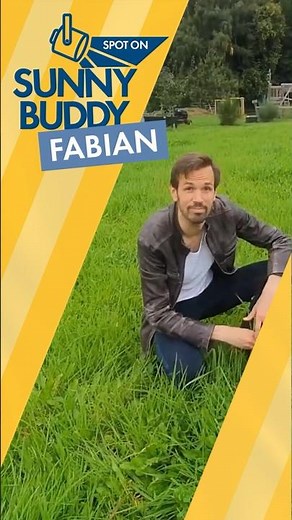 Sunny Buddy Fabian