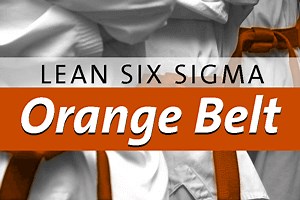 Wat is Lean Six Sigma - sixsigma.nl