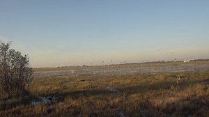 20K views · 350 reactions | This High Volume Duck Hunt is brought to...