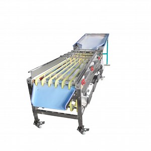 [Hot Item] Vegetable Fruit Sorting Stainless Steel Fruit Selection Classifier Sorter Screening Grading Machine
