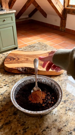 Natural Fly Repellent Using Coffee and Spices! #DIY #home #hack | Michael Vu Plus