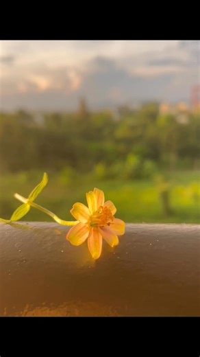 my prayer for you today #Sundaymorning #BodyofChrist #liveoutloud #Jesus #sunriseandme #GodBlessYou #HeisLord #rejoice | Sunrise and me
