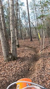 86K views · 217 reactions | Alliteration asside, whats better than...