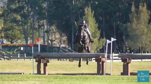 4.3K views · 34 reactions | Winner, winner! Watch Jess Rae and Rascal win the CCN4* at Equestriad at Camden CCN with this lovely cross country run https://www.an-eventful-life.com.au/event/equestriad-camden-ccn-1-2024 #XCVideo #eventingaustralia #eventing Jessica Rae | An Eventful Life | Facebook