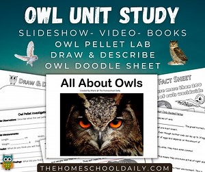 Owl Unit Study