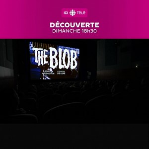 Un incroyable organisme unicellulaire remet en cause tout ce que l'on croyait savoir sur l'intelligence du vivant. « Découverte » nous présente le Blob. | Radio-Canada