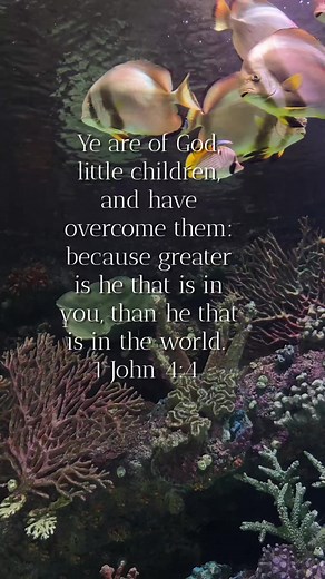 He is greater! #praise #worship #bibleverses #praiseandworship #dailybread #scripturereading #nature | BibleVerses