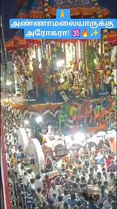 அண்ணாமலையார் திருதேரோட்டம்