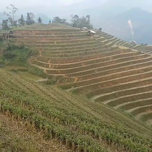 72K views · 55 reactions | The terraced rice fields of North Vietnam | Bucket List | Facebook