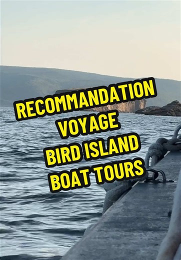 Bird Island Boat Tours: Une aventure inoubliable
