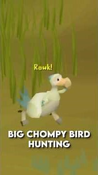 osrs day #140 - big chompy bird hunting