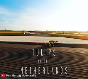 8.2K views · 134 reactions | " Spring 2020, it was time to visit the...