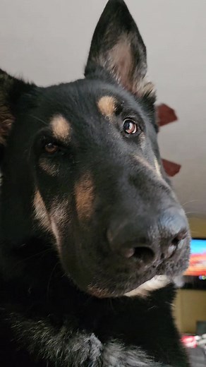 Sometimes...... | Shannon Ireland