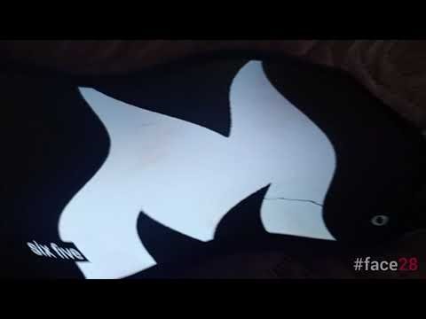 M6 logo history swist major warp