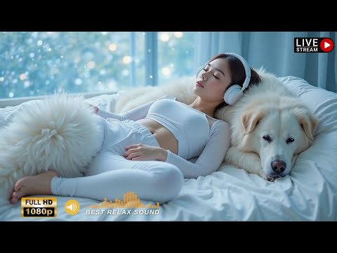 Comfortable Music of Deep Sleep Relaxing Dog Music! NEW Helped 10 Million Dogs! Goodbye Insomnia