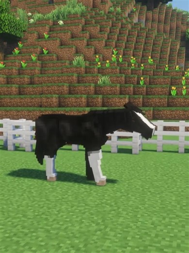 New SWEM Genetics addon 🫣 . Release Date: March 15th . 1.20.1 Modded Minecraft Server How to join: canterlands.com . #starwormequestrianmod #minecrafthorses #minecraftequestrian #minecraftfarming #MinecraftAnimals #horseroleplay #MinecraftCommunity #MinecraftServer #MinecraftBuilds #MinecraftMods #MinecraftStable #swem #starwormequestrian #genetics