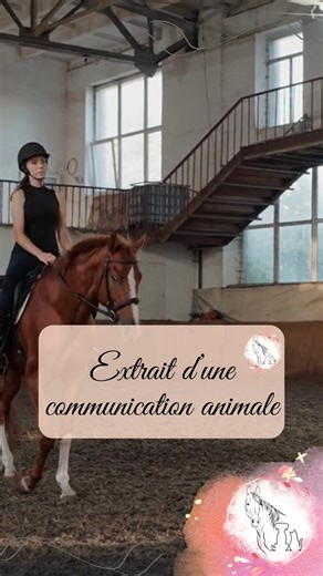11 reactions | Extrait de communication avec un cheval #relations #differentes #apport #equilibre #message #emiliecomanimale | Emilie Com'animale | Facebook