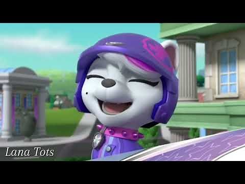 Paw Patrol | We Meet Our New Pup Roxy