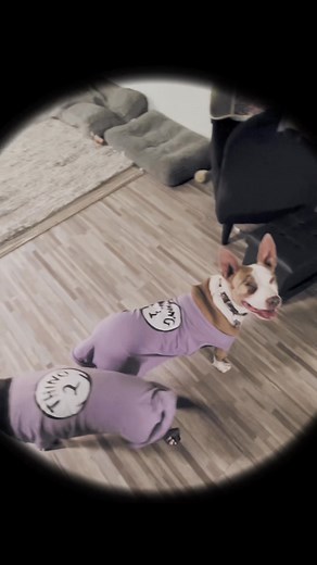 The Grease Girls Forever - Rizzo & ChaCha on Reels