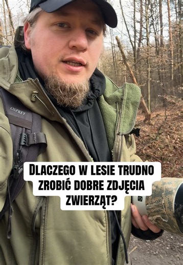 Dlaczego w lesie ciężko spotkać zwierzęta i zrobić im dobre zdjęcie? Bo las jest gęsty, nie zapewnia dobrego tła, zwierzęta nas słyszą i ciężej do nich podejść. Fotografia z podchodu w ogóle jest trudna i nieprzewidywalna. Lepiej zrobić zasiadkę, a ta premiuje łąki i stawy. #fotografia #ptaki #vlog #ciekawostki #spacer