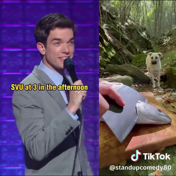 JESSICA RUPERT LTD on TikTok