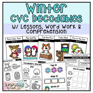 Winter Decodable Readers w/ Comprehension & Word Work - CVC Decodable Readers