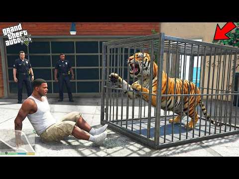 Franklin Tries To Catch The Deadliest Tiger Of Los Santos In GTA 5 ! (GTA 5 Mods)