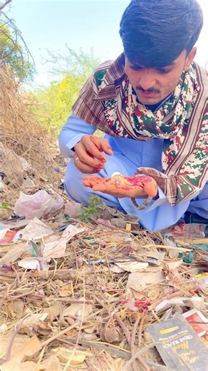 Birds Ka Ande se nikla bacha mila rescue kiya 😍🥰 #shorts