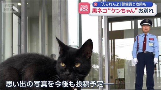 黒ネコ“ケンちゃん”お別れ 「入られんよ」警備員と攻防も