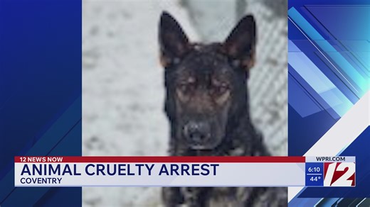 Coventry woman charged after emaciated dog found