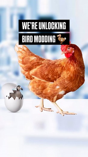 74K views · 1.6K reactions | We’ve figured out how to get genetic...