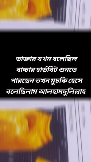 Understanding Fetal Development Through Ultrasound Imaging