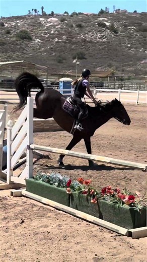 Silvan was very good for 3ft-3’3 today