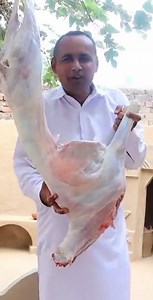 78K views · 1K reactions | Full Goat Biryani Recipe | Whole Lamb Biryani | Arabic Full Goat Cooking | Village Food Secrets | Facebook