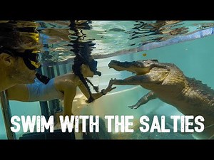 Brand new Swim With The Salties experience!