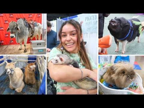 PET EXPO 2026 || Exotic Animals, Petting Zoo, Farms, Dog Shows, Reptiles (I held a 60 lbs snake!)