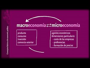 Economía política, conocimientos básicos. Macro y Microeconomía.