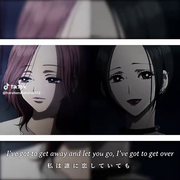 ハチとナナの素敵な関係を紹介