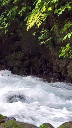 listen to this clear running water & feel calm instantly, shorts video