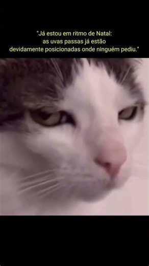 Já começou as brigas pela uva passas...kkkkk #memes #humor #shortsviral #shorts