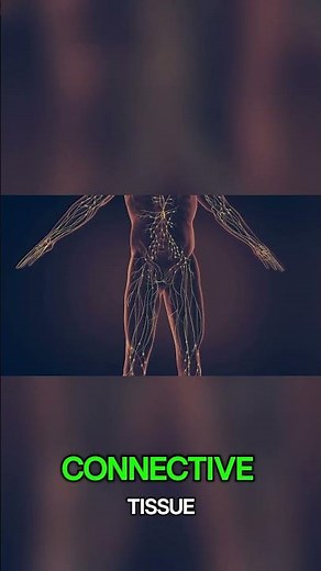 The 4 Basic Tissue Types | Histology Fundamentals