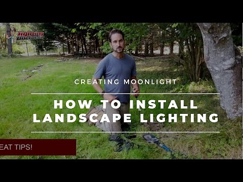 Landscape Lighting - Creating the Moonlight Effect (Tree Lighting)