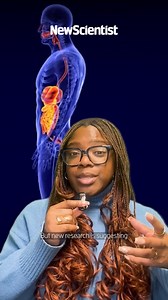 A fresh understanding of tiredness reveals how to get your energy back. | New Scientist