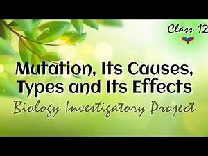 || Biology Investigatory Project on Mutation It's type, Causes and Effects || Class 12 ||