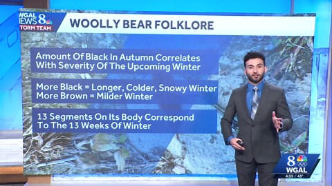 Woolly bear caterpillars: Can they predict winter weather?