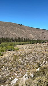 This kind of represents all of Bishop Creek Canyon right now. Half of it is in full fall colors, while the other half is still waiting to go. We’ll post more photos tomorrow! Please remember to be kind and courteous up there to others and to the environment. Also, mid-week is a great time to go, if you can swing it. #visitbishop #easternsierra #smalltownbigbackyard #californiafallcolor California Fall Color | Visit Bishop