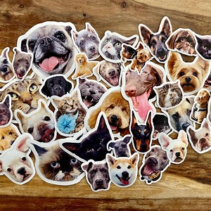 Custom Pet Stickers, Custom Dog Stickers, Custom Cat Stickers, Custom Water Resistant Stickers, Custom Stickers, Pet Photo Sticker - Etsy