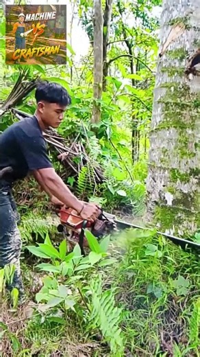 🛠️Tall Tree Felling Made Easy — Ground Level Chainsaw Technique 👷