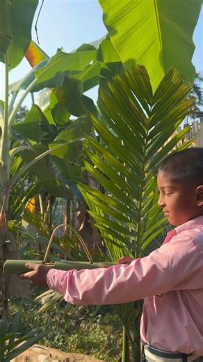 amazing bambo gun 😲😲😲 #bamboogun #creativevideo #shortsvideo